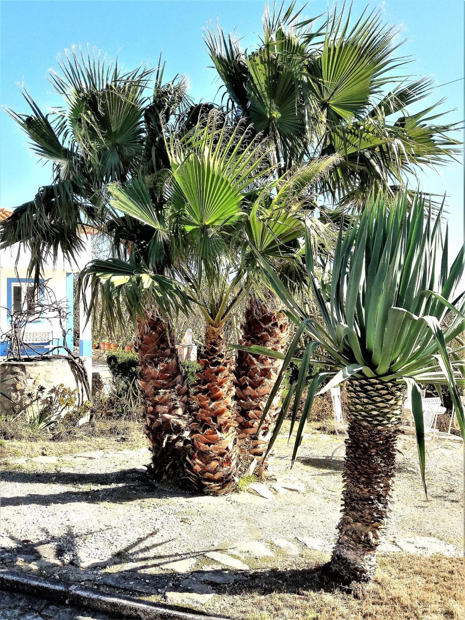 Agua Rocha Villa Serra de Mangues Kamer foto